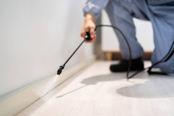 Bed Bug Pre-Treatment Preparation Assessment in Trinity
