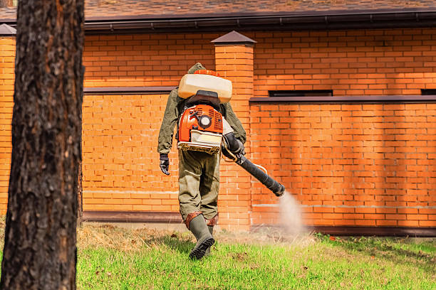 Bed Bug Clearance Verification and Documentation in Trinity
